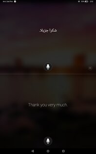 Переводчик Microsoft 25.10.2.8. Скриншот 12