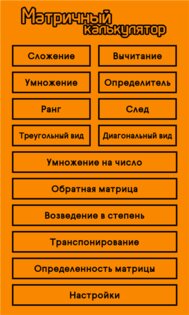 Матричный калькулятор 1.0.1.0. Скриншот 3