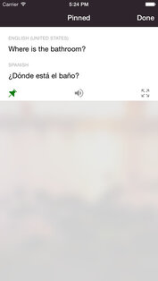 Microsoft Translator. Скриншот 5