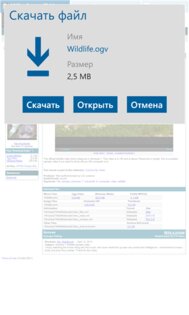 Surfy. Скриншот 4