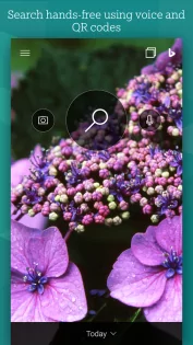 Bing – чат с ИИ и GPT 32.6.431201002. Скриншот 1