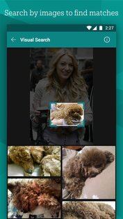 Bing – чат с ИИ и GPT 32.6.431201002. Скриншот 3