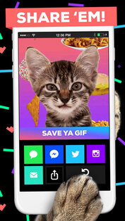 GIPHY CAM. The GIF Camera. Скриншот 3