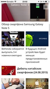 Google Chrome. Скриншот 2