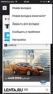 Google Chrome. Скриншот 4
