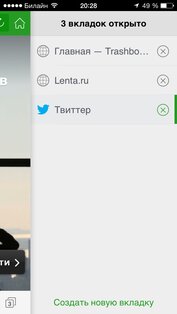 Dolphin Browser. Скриншот 5