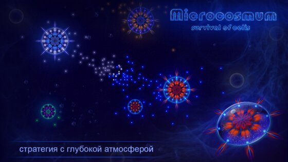 Microcosmum 4.3.2. Скриншот 2