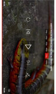 Perfect Tube. Скриншот 4