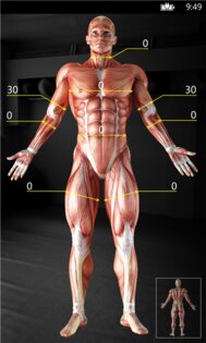 WinGym. Скриншот 6