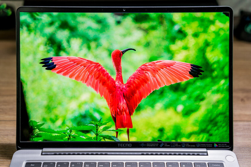 Очень лёгкий ноутбук, на котором действительно можно работать: обзор TECNO MEGABOOK S14