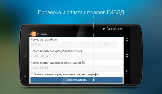 Roadly антирадар и регистратор 1.7.34. Скриншот 10