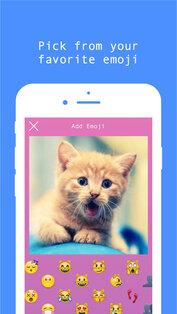 Shuggie. Скриншот 3