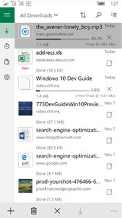 Loadkit Download Manager. Скриншот 2