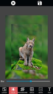 Picsa – редактор фото 3.1.10.3. Скриншот 12