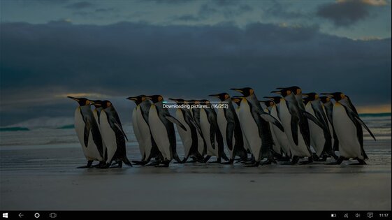 SpotBright. Скриншот 4