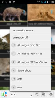 Видео в изображение GIF, JPG 3.6. Скриншот 3