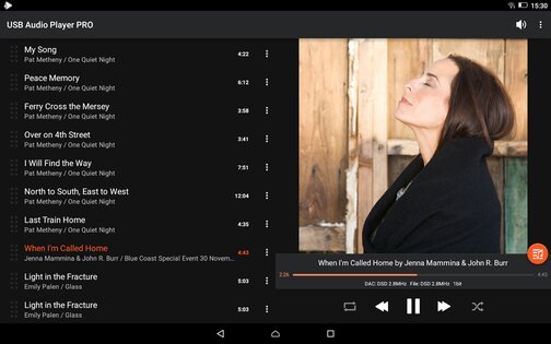 USB Audio Player PRO 3.3.6. Скриншот 9