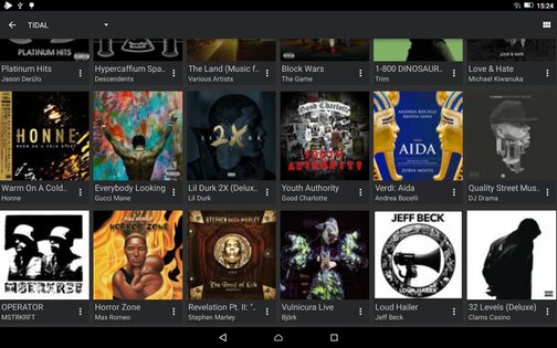 USB Audio Player PRO 3.3.6. Скриншот 12