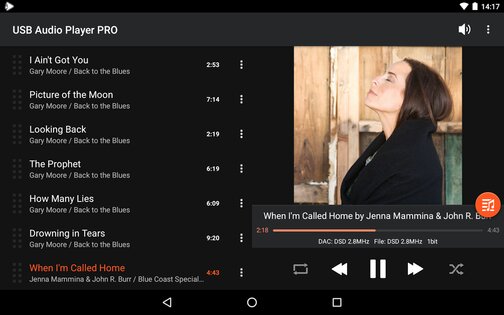 USB Audio Player PRO 3.3.6. Скриншот 16