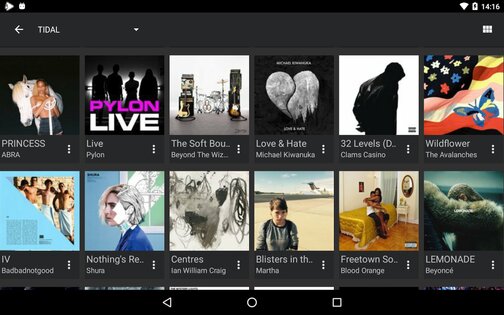 USB Audio Player PRO 3.3.6. Скриншот 18