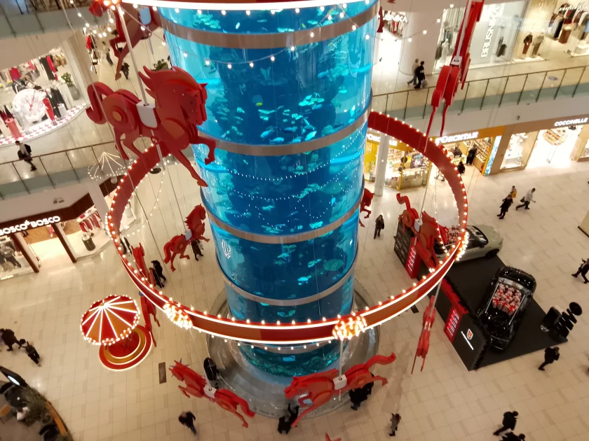 Прочный корпус и выносливая батарея за разумные деньги: обзор vivo Y04s — Качество снимков. 2