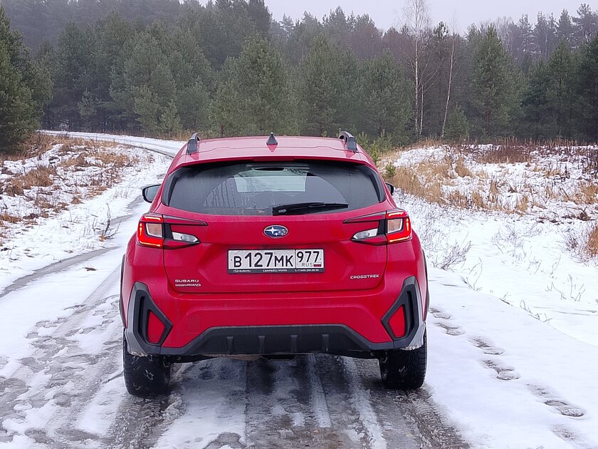 Недорогой смартфон с ёмкой батареей и достойным дисплеем: обзор realme P3 Lite — Качество снимков. 3