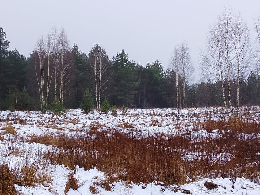 Недорогой смартфон с ёмкой батареей и достойным дисплеем: обзор realme P3 Lite — Качество снимков. 5