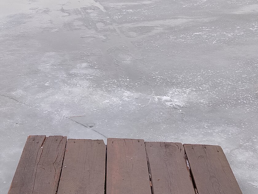 Недорогой смартфон с ёмкой батареей и достойным дисплеем: обзор realme P3 Lite — Качество снимков. 13