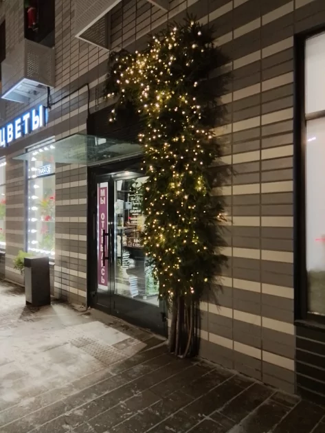 Прочный корпус и выносливая батарея за разумные деньги: обзор vivo Y04s — Качество снимков. 15