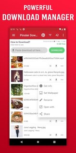 Pinster – скачать с Pinterest 25.12.20. Скриншот 5
