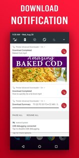Pinster – скачать с Pinterest 25.12.20. Скриншот 24