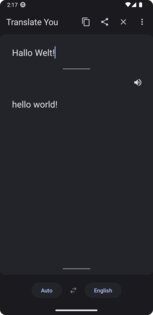 Translate You 16.1. Скриншот 2