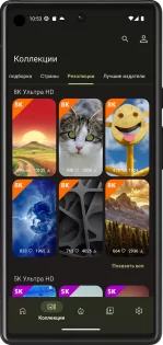 backiee 11.8.88. Скриншот 4