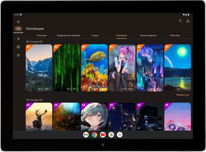 backiee 11.8.88. Скриншот 12