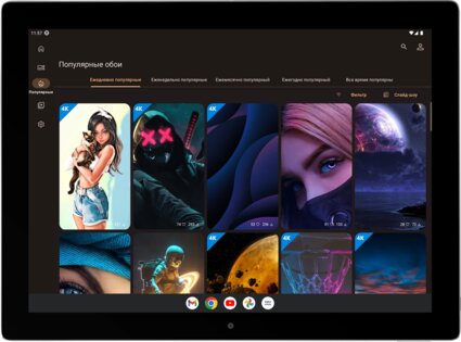 backiee 11.8.88. Скриншот 13