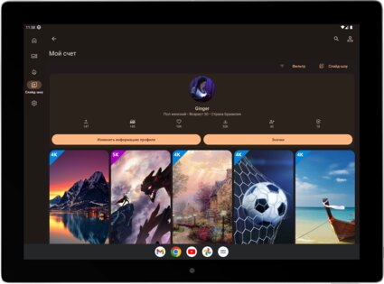 backiee 11.8.88. Скриншот 16