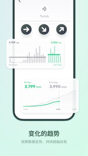 Fitbeing 2.7.13. Скриншот 19