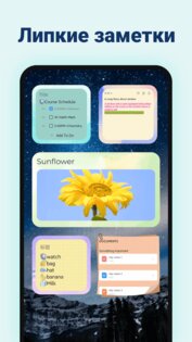 Tidy Notes 2.3.5. Скриншот 5