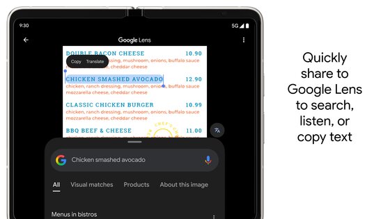 Google Лупа 2.0.0.843533047. Скриншот 7