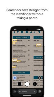 Google Лупа 2.0.0.843533047. Скриншот 8
