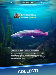 Fishing Travel 0.40.1. Скриншот 11