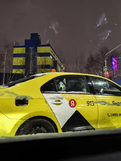 Случайно уронили, а ему хоть бы что: обзор прочного складного флагмана HUAWEI Mate X7 — Качество снимков. 17