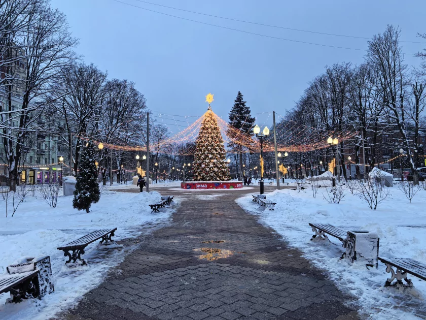 Случайно уронили, а ему хоть бы что: обзор прочного складного флагмана HUAWEI Mate X7 — Качество снимков. 23