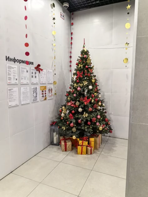 Случайно уронили, а ему хоть бы что: обзор прочного складного флагмана HUAWEI Mate X7 — Качество снимков. 26