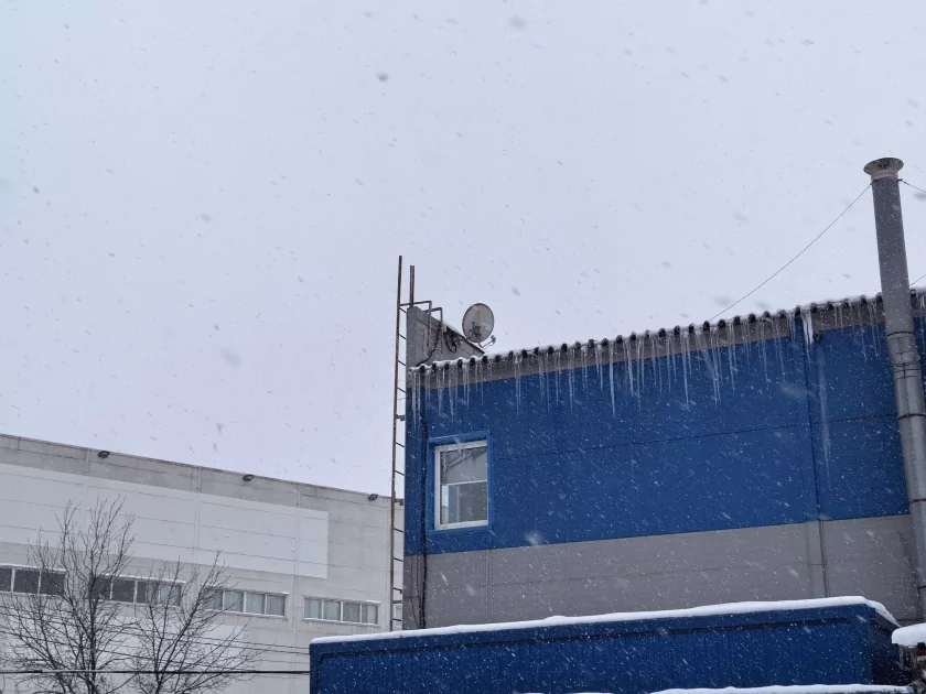 Случайно уронили, а ему хоть бы что: обзор прочного складного флагмана HUAWEI Mate X7 — Качество снимков. 56