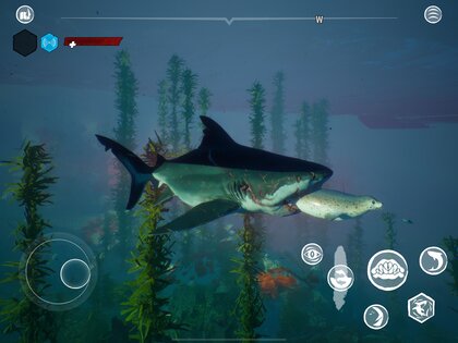 Maneater 1.3. Скриншот 12