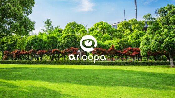 ARLOOPA 5.0.28. Скриншот 25
