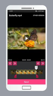 Smart Video Crop 2.7. Скриншот 4