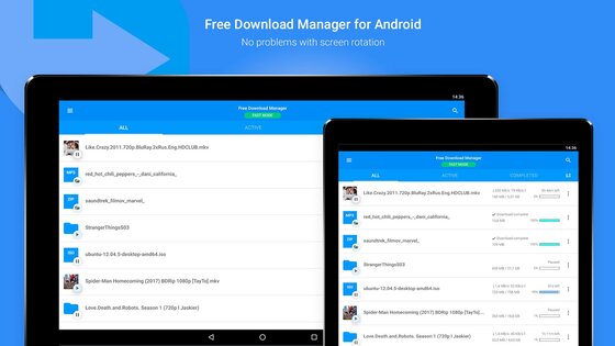 Free Download Manager 6.31.0.6549. Скриншот 11
