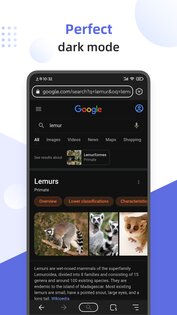 Lemur Browser 2.7.3.019. Скриншот 1